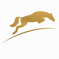 Impulsion